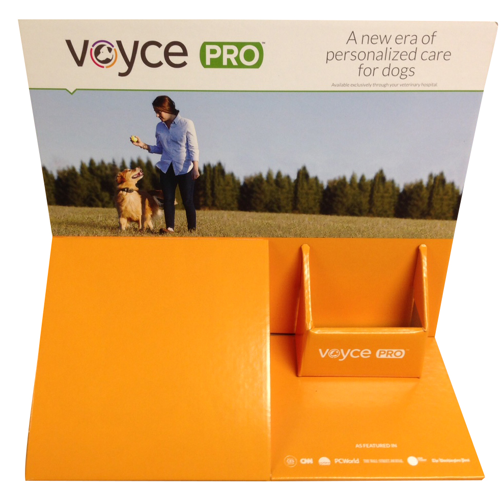 Printed Brochure Display