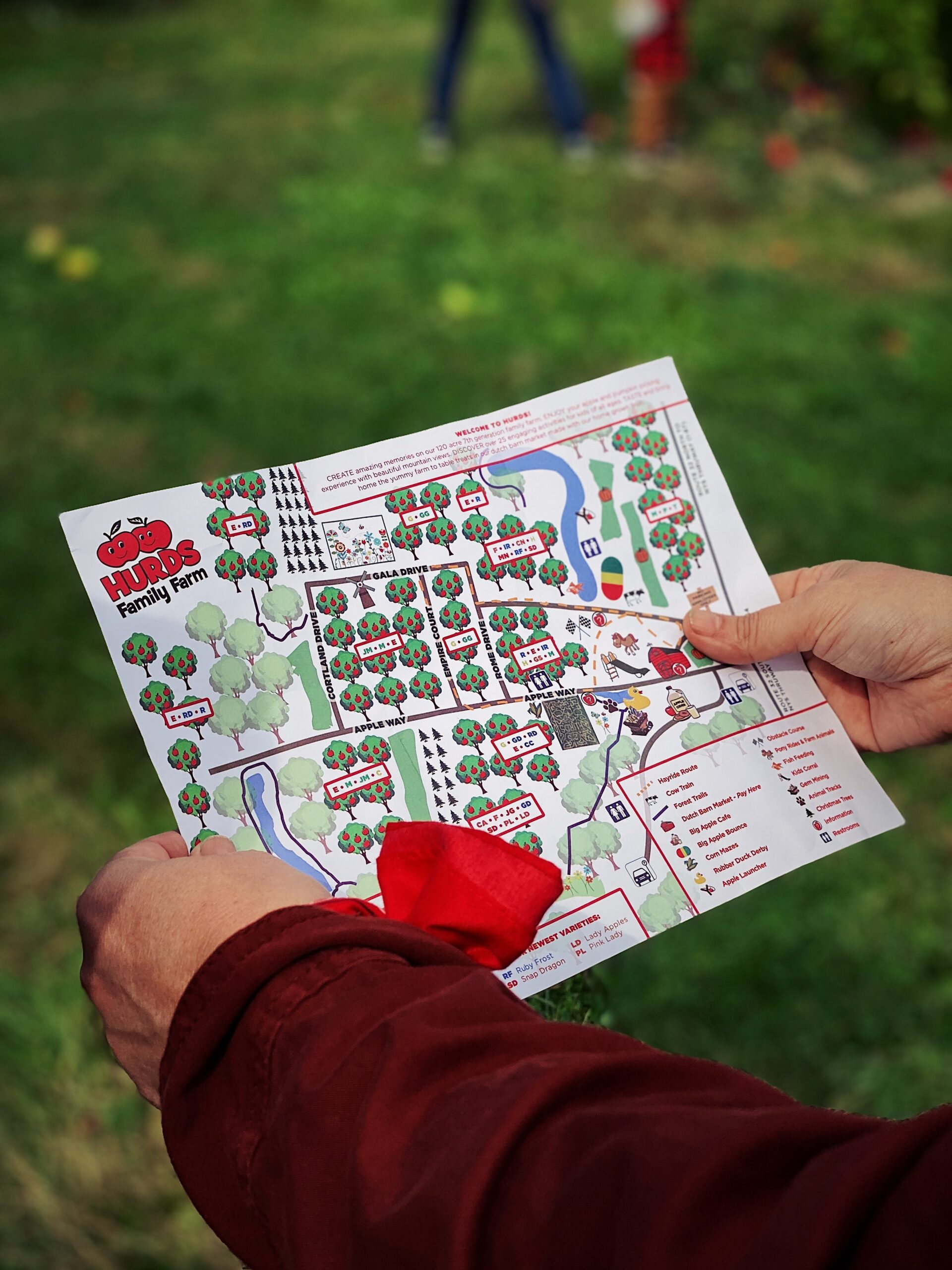 Man holding a brochure for a farm